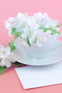 White spring apple tree blooming flowers in a cup Stock Photos