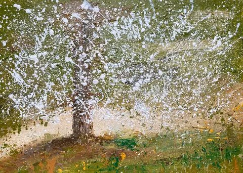 White spring blossom Stock Photos