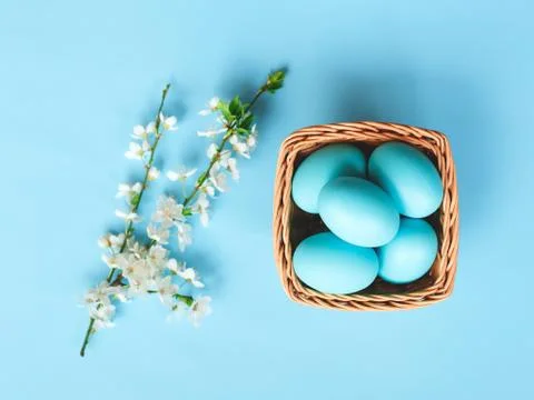 White spring branch of flowers with easter eggs on a blue background Stock Photos