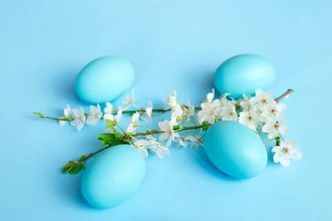 White spring branch of flowers with easter eggs on a blue background Stock Photos