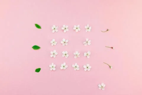 White spring cherry tree blooming flowers pattern Foto stock