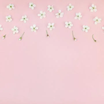 White spring cherry tree blooming flowers pattern Stock Photos