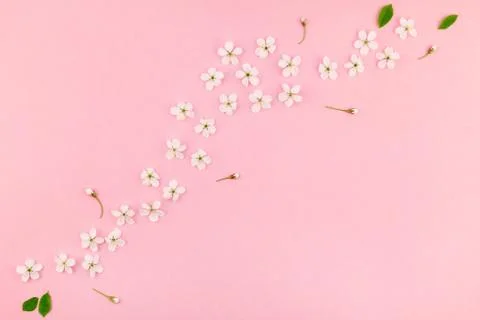 White spring cherry tree blooming flowers pattern Stock Photos