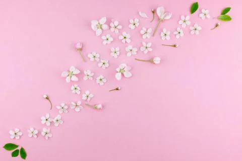 White spring cherry tree blooming flowers pattern Stock Photos
