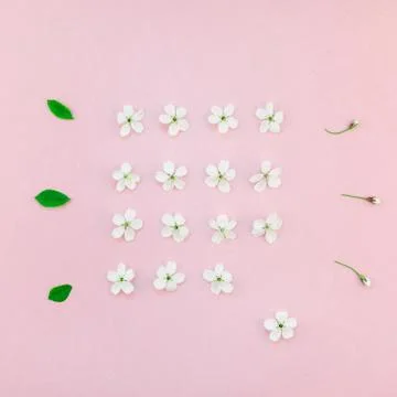 White spring cherry tree blooming flowers pattern Stock Photos