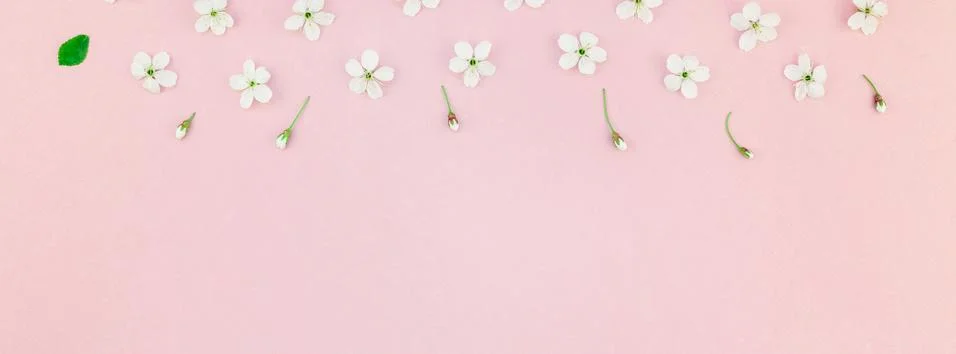 White spring cherry tree blooming flowers pattern Stock Photos