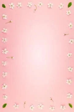 White spring cherry tree blooming flowers pattern Foto stock