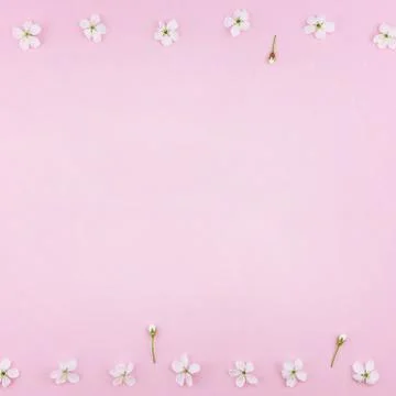 White spring cherry tree blooming flowers pattern Stock Photos