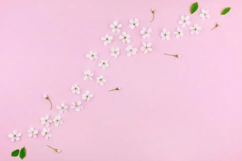 White spring cherry tree blooming flowers pattern Stock Photos