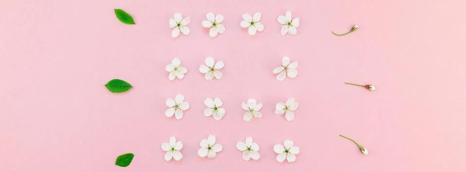 White spring cherry tree blooming flowers pattern Stock Photos