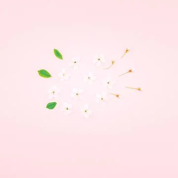 White spring cherry tree blooming flowers pattern Foto stock