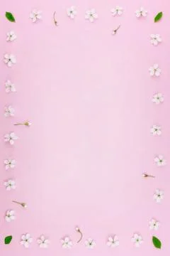 White spring cherry tree blooming flowers pattern Stock Photos