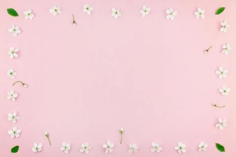 White spring cherry tree blooming flowers pattern Stock Photos