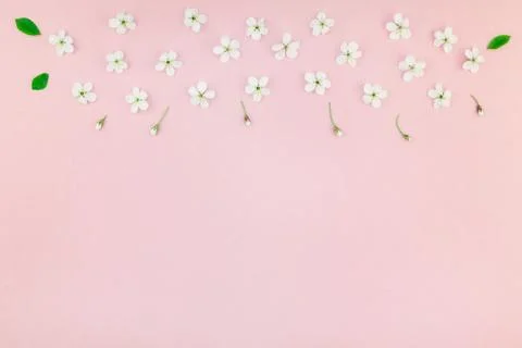 White spring cherry tree blooming flowers pattern Foto stock