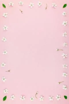 White spring cherry tree blooming flowers pattern Stock Photos