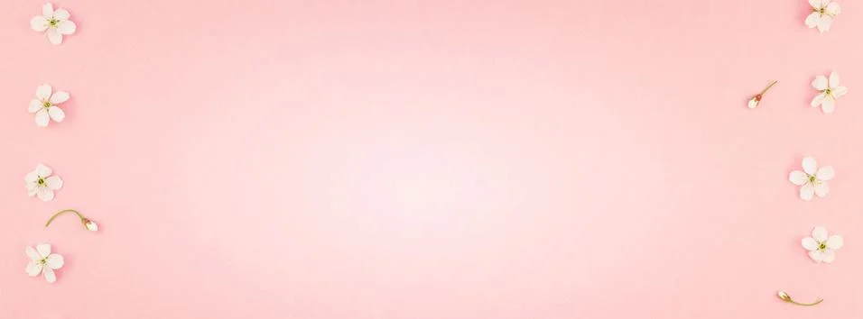 White spring cherry tree blooming flowers pattern Foto stock