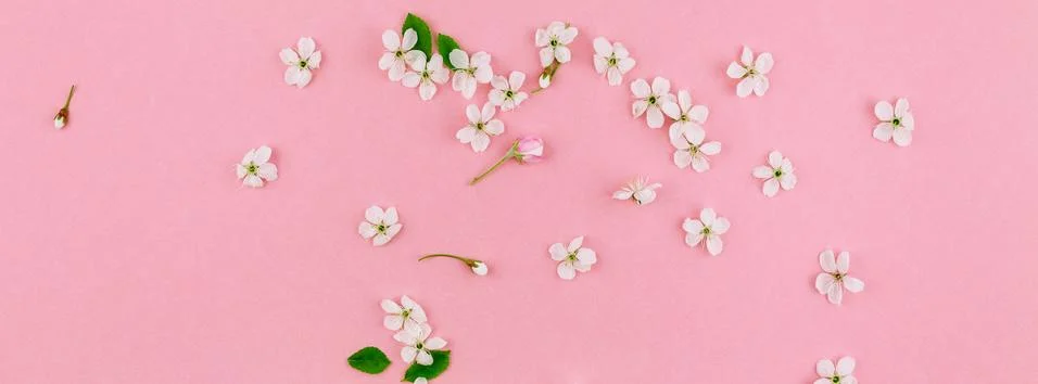 White spring cherry tree blooming flowers pattern Stock Photos