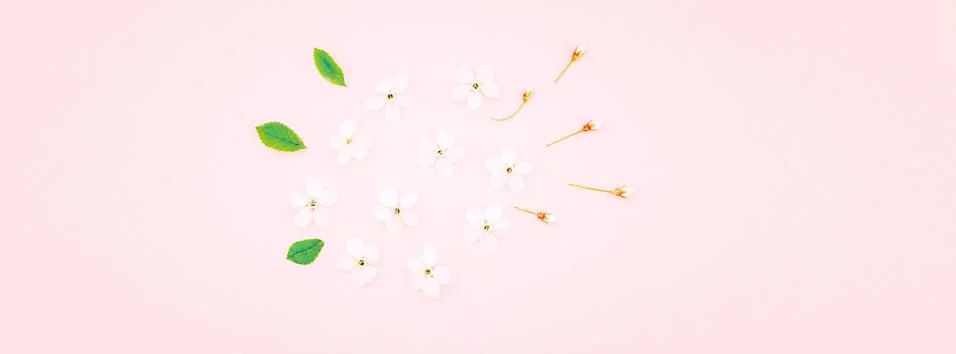 White spring cherry tree blooming flowers pattern Foto stock