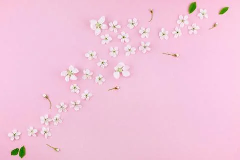 White spring cherry tree blooming flowers pattern Foto stock