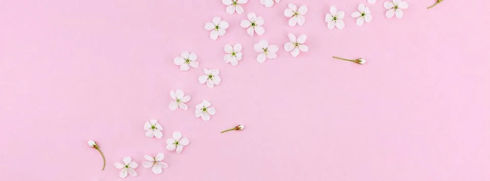 White spring cherry tree blooming flowers pattern Stock Photos