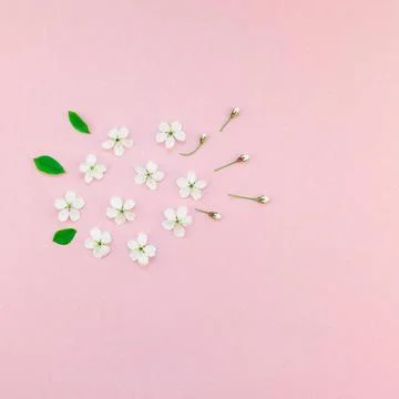 White spring cherry tree blooming flowers pattern Creative top view cherry... Foto stock