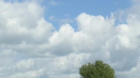 White spring clouds, tree, wind, blue sky, Germany Stock Footage 232989994