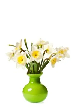 White Spring Daffodil Flower Bunch Isolated on White Background Stock Photos