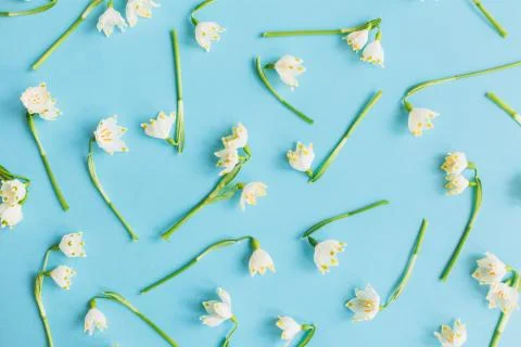 White spring flowers on blue flat lay. Floral trendy pattern. Hello spring. S Foto stock