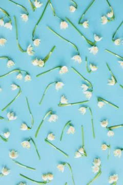 White spring flowers on blue flat lay. Floral trendy pattern. Hello spring. S Stock Photos