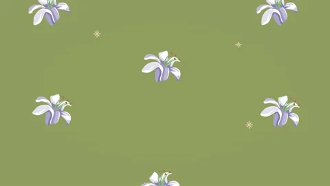 White spring flowers pattern animation Stock Footage 179806649