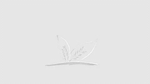 White sprout drawn with chalk, animation 库存影片 333206313