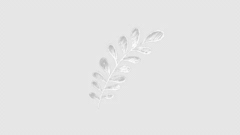 White sprout drawn with chalk, animation Stock Footage 334814686