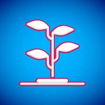 White Sprout icon isolated on blue background. Seed and seedling. Leaves sign Illustration