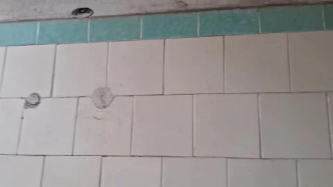 White square ceramic bathroom wall tiles Stock Footage 345362112
