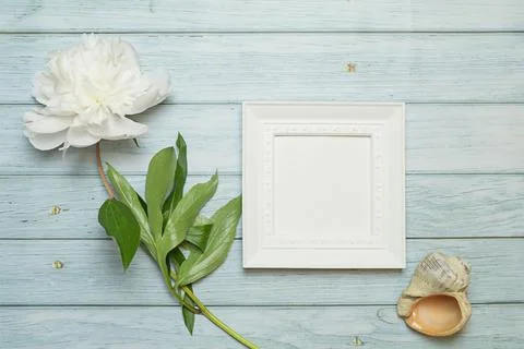 White square frame with copy space, peony and seashell on wooden turquoise ba Stock Photos