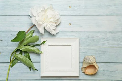 White square frame with copy space, peony and seashell on wooden turquoise Stock Photos