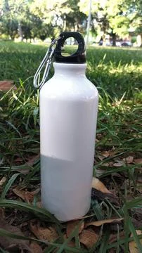 White squeeze between the sheets Stock Photos