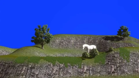 White stallion passage Stock Footage 114760457