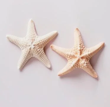 White starfish isolated 스톡 사진