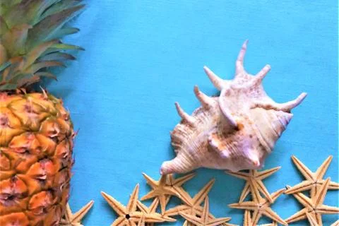 White starfish with pineapple Stock Photos