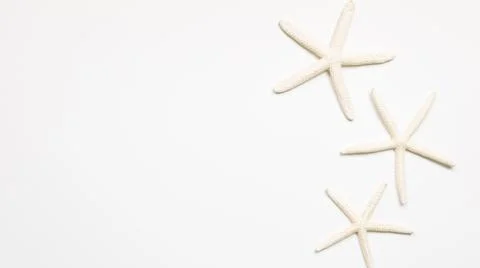 White starfish on white background. summer marine decoration Stock Photos