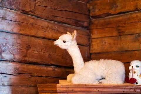 White Statue of a Lying Alpaca Siting Near a Wooden Wall Stock Photos