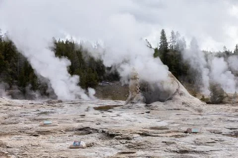 White steam exploding from big cone geyser Stock Photos