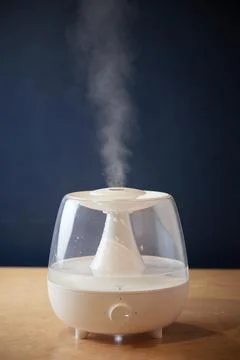 The white steam generator on the table is standing running emits steam view from Stock Photos