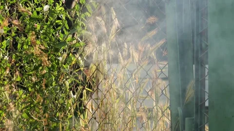 White steam rising from a steaming pipe outdoors Stock Footage 337392512