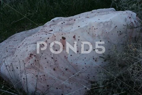 White Stone Stock Photos