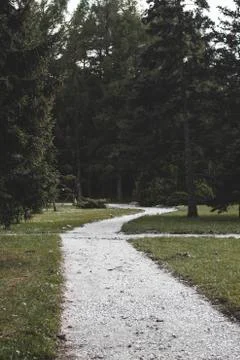 A white stone road in the park surrounded by grass and tall trees Stock Photos