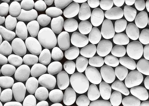 White Stones texture background design Stock Illustration