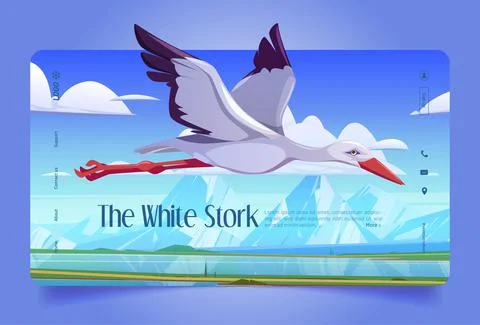 White stork cartoon landing page, wild bird flying Stock Illustration