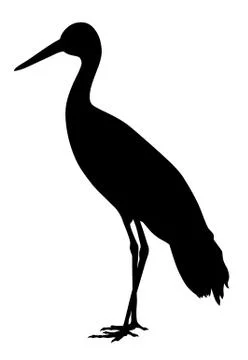 White stork Stock Illustration